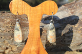 Crazy lace orange & grey earrings